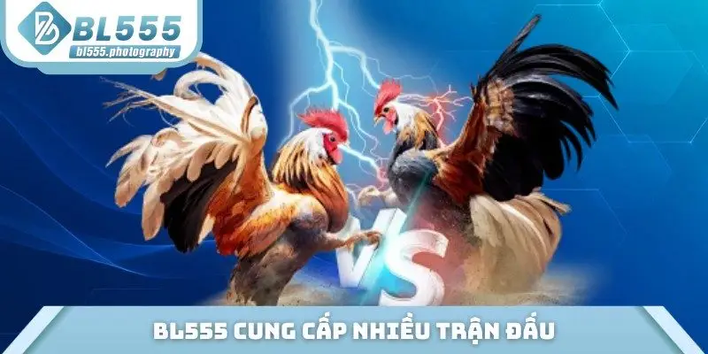 BL555 cung cấp nhiều trận đấu